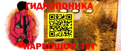 таблы Краснознаменск